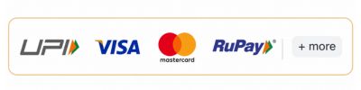 Online Payment